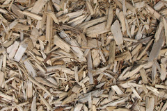 biomass boilers Pentwyn